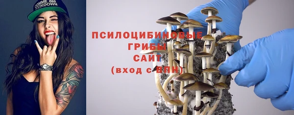 PSILOCYBIN Зеленокумск