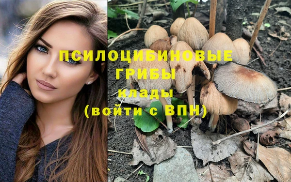 jwh Зеленодольск