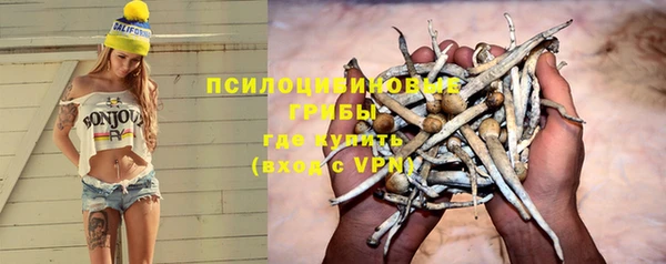 PSILOCYBIN Зеленокумск